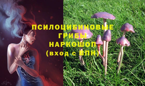 эйфоретик Краснотурьинск