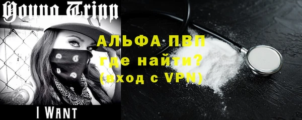 прущие грибы Тутаев