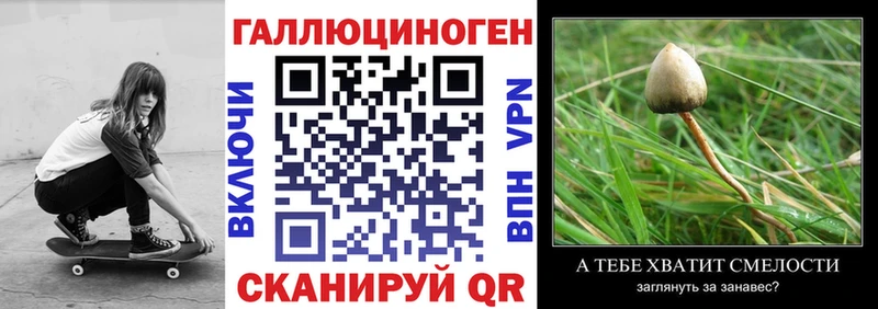 Купить закладки  Бавлы  Галлюциногенные грибы прущие грибы 