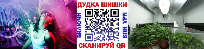 Шишки марихуана сатива  Купить  Бавлы 